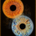 Care este cel mai bun cadou iubita? Tablou iris coliziune spectaculoasă - portocaliu + albastru. Fotografie macro personalizată 4K.