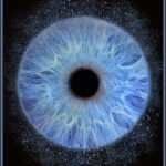 Fotografie macro profesionala a irisului albastru cu detalii intricate