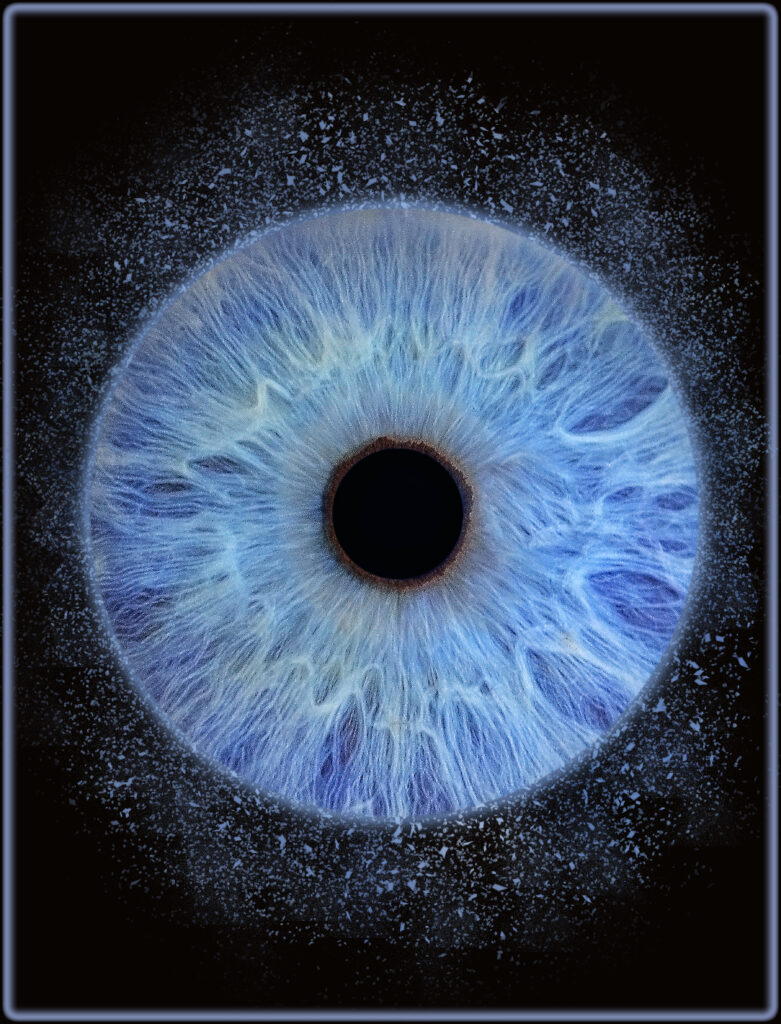 Fotografie macro iris albastru 4K