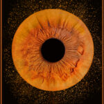 Tablou iris ochi explozie aurie - fotografie macro 4K